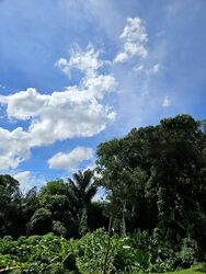 Belmont Road (D10), Detached #486686461